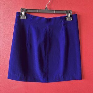 Blue Velvet Mini Skirt